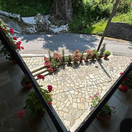 Λευκή Καμέλια Hotel Anilio Pelion Екстериор снимка