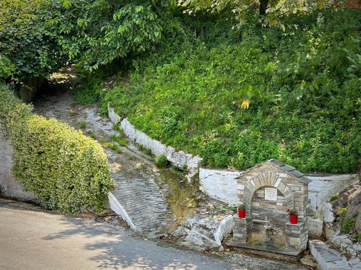 Λευκή Καμέλια Hotel Anilio Pelion Екстериор снимка