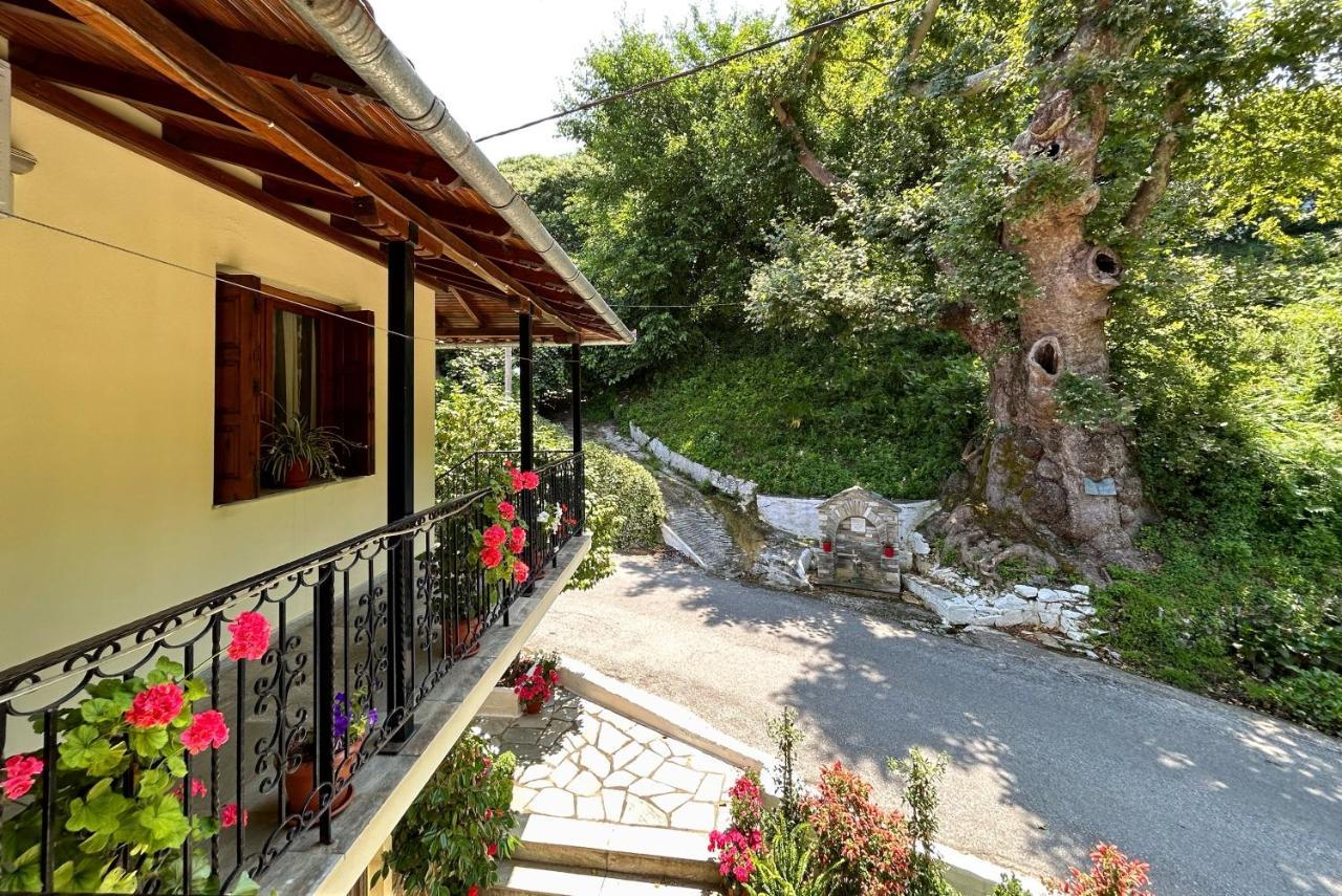 Λευκή Καμέλια Hotel Anilio Pelion Екстериор снимка