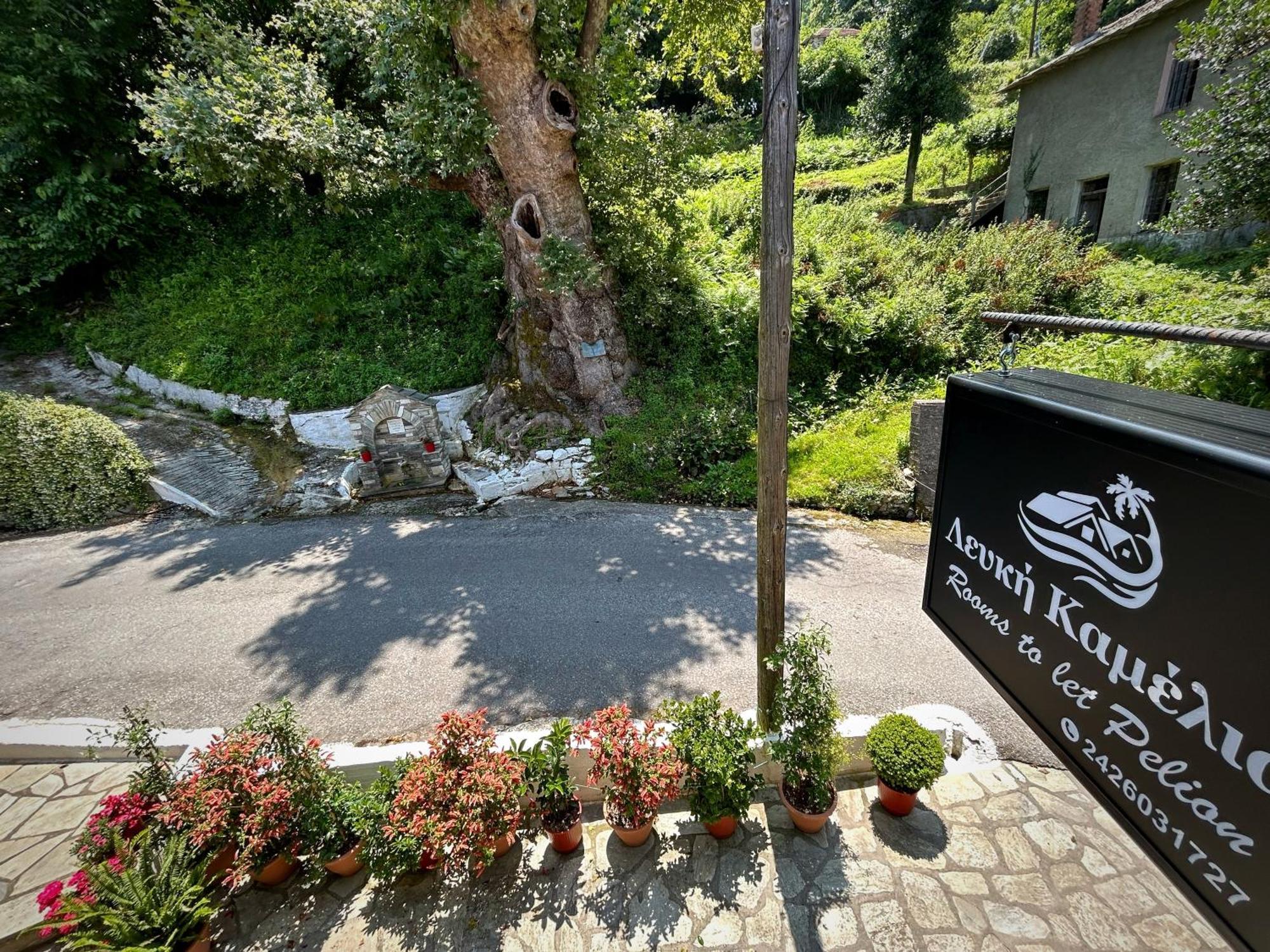 Λευκή Καμέλια Hotel Anilio Pelion Екстериор снимка