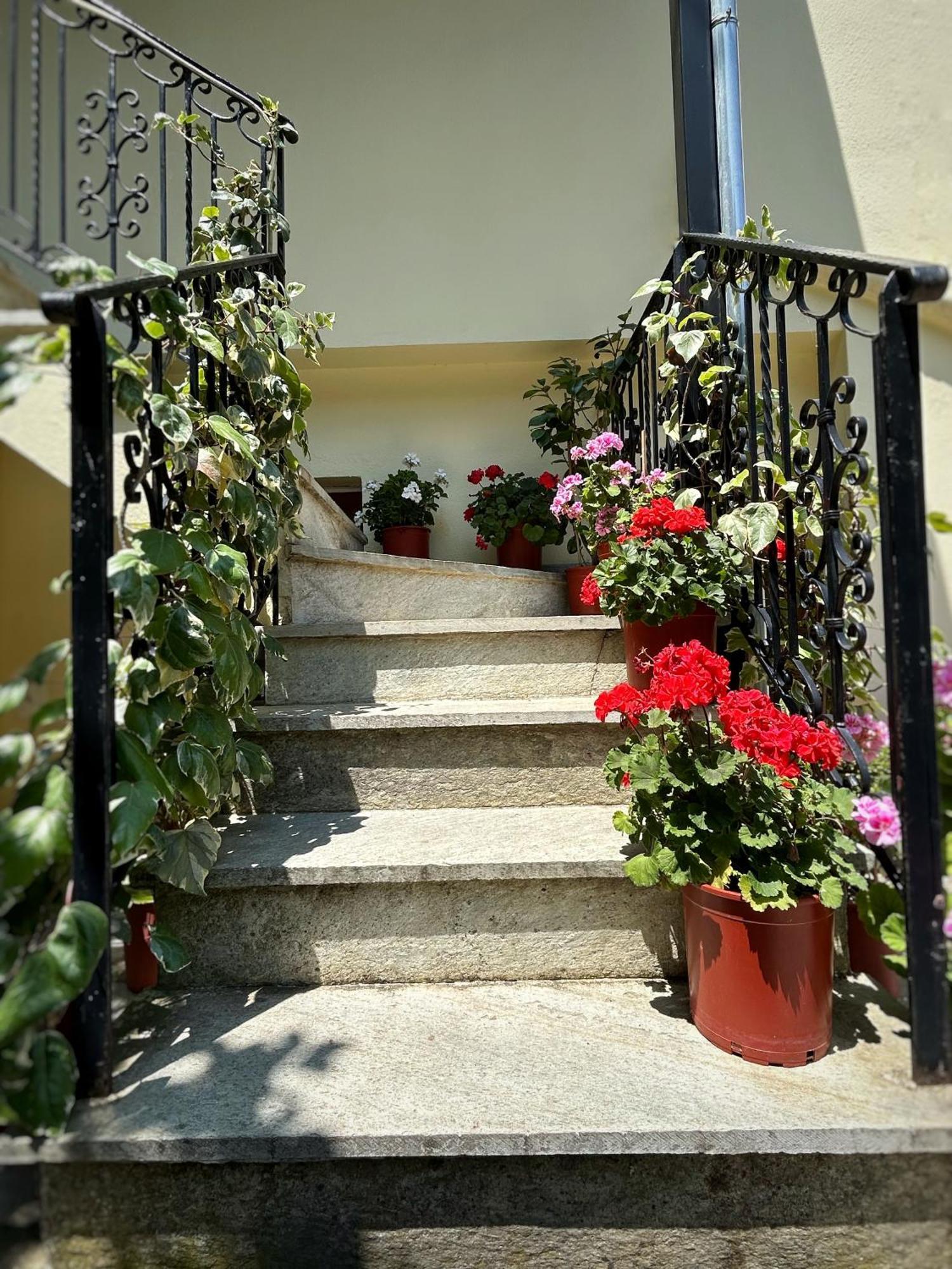 Λευκή Καμέλια Hotel Anilio Pelion Екстериор снимка