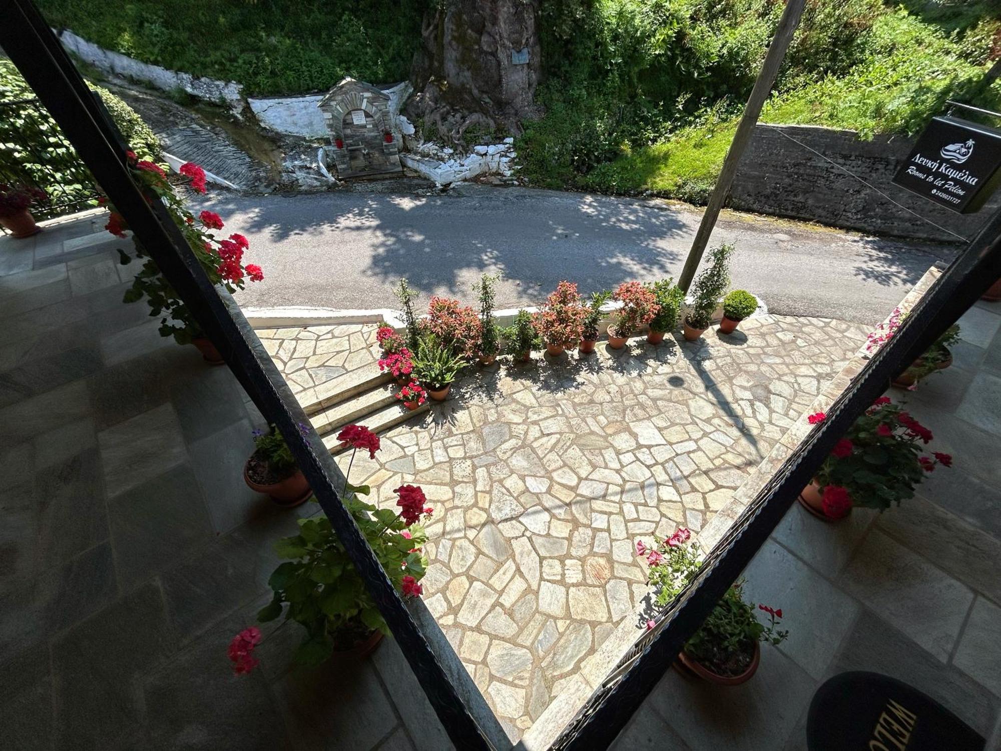 Λευκή Καμέλια Hotel Anilio Pelion Екстериор снимка