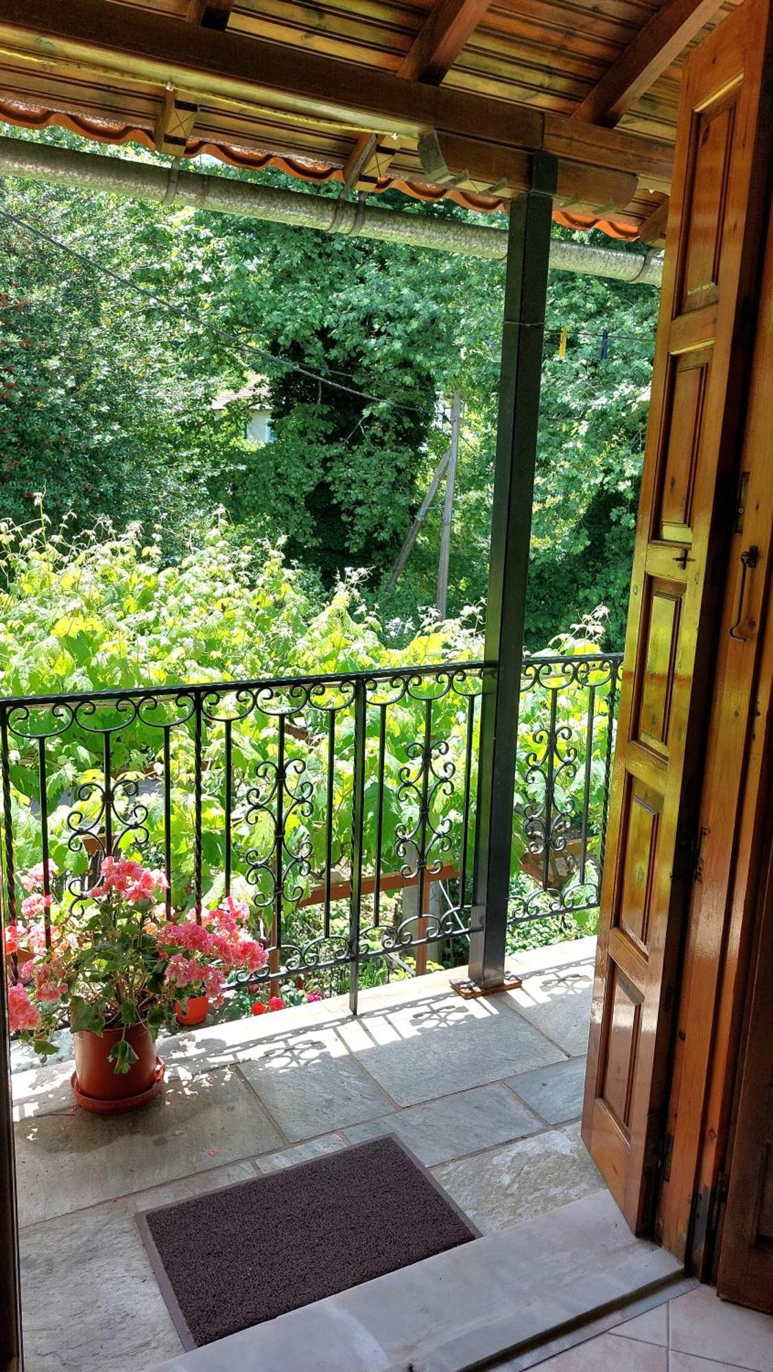 Λευκή Καμέλια Hotel Anilio Pelion Екстериор снимка