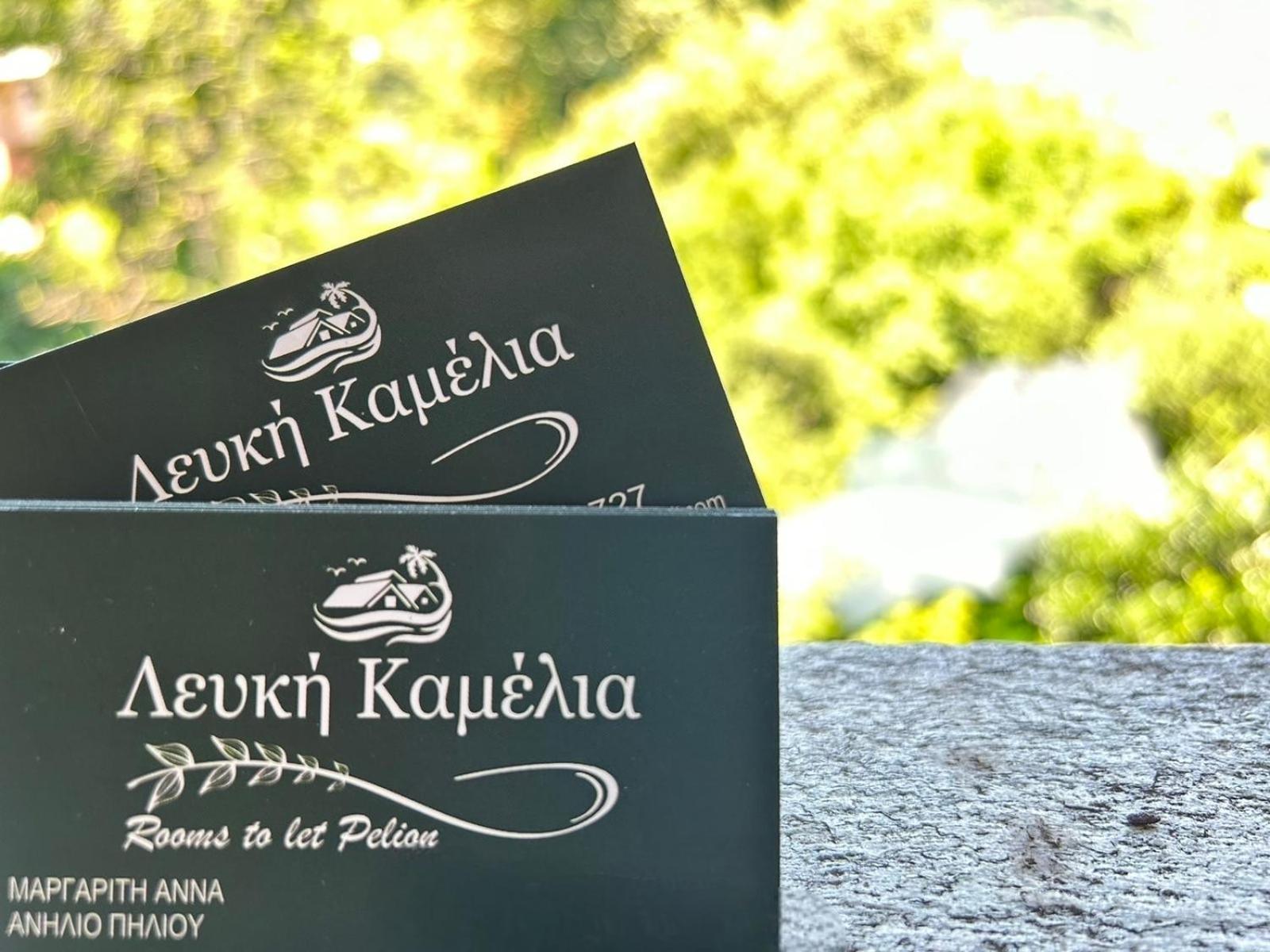 Λευκή Καμέλια Hotel Anilio Pelion Екстериор снимка